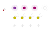 Desalting of 4 Plasmid Maxi Eluates Using Magnetic Beads - thumbnail