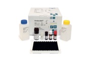main illustration image - EndoLISA® Detection Assay