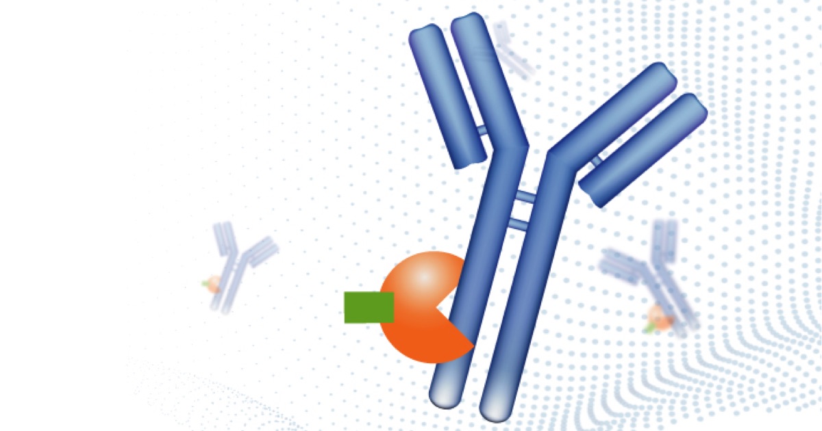 Automated Antibody Purification Protocol OneLab