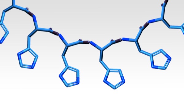 Protocol illustration image